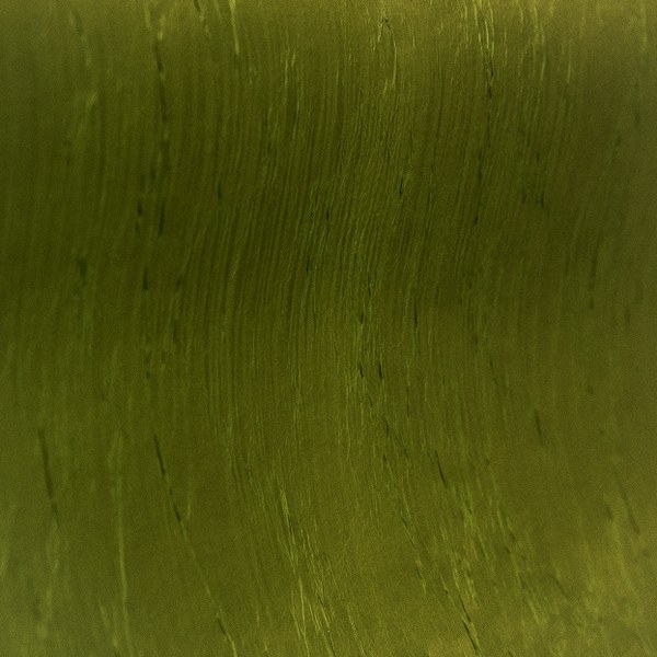 Leaf Green — Rainbow TMC-35 wall-covering roll